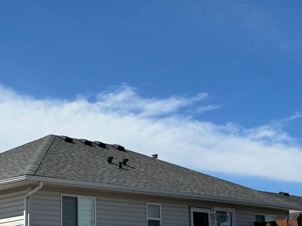 Best Hot Roofs  in Burlington, VT